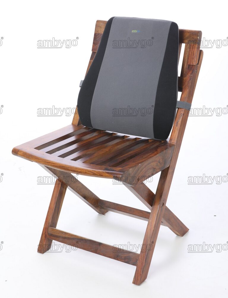 Orthopaedic Back Rest Regular