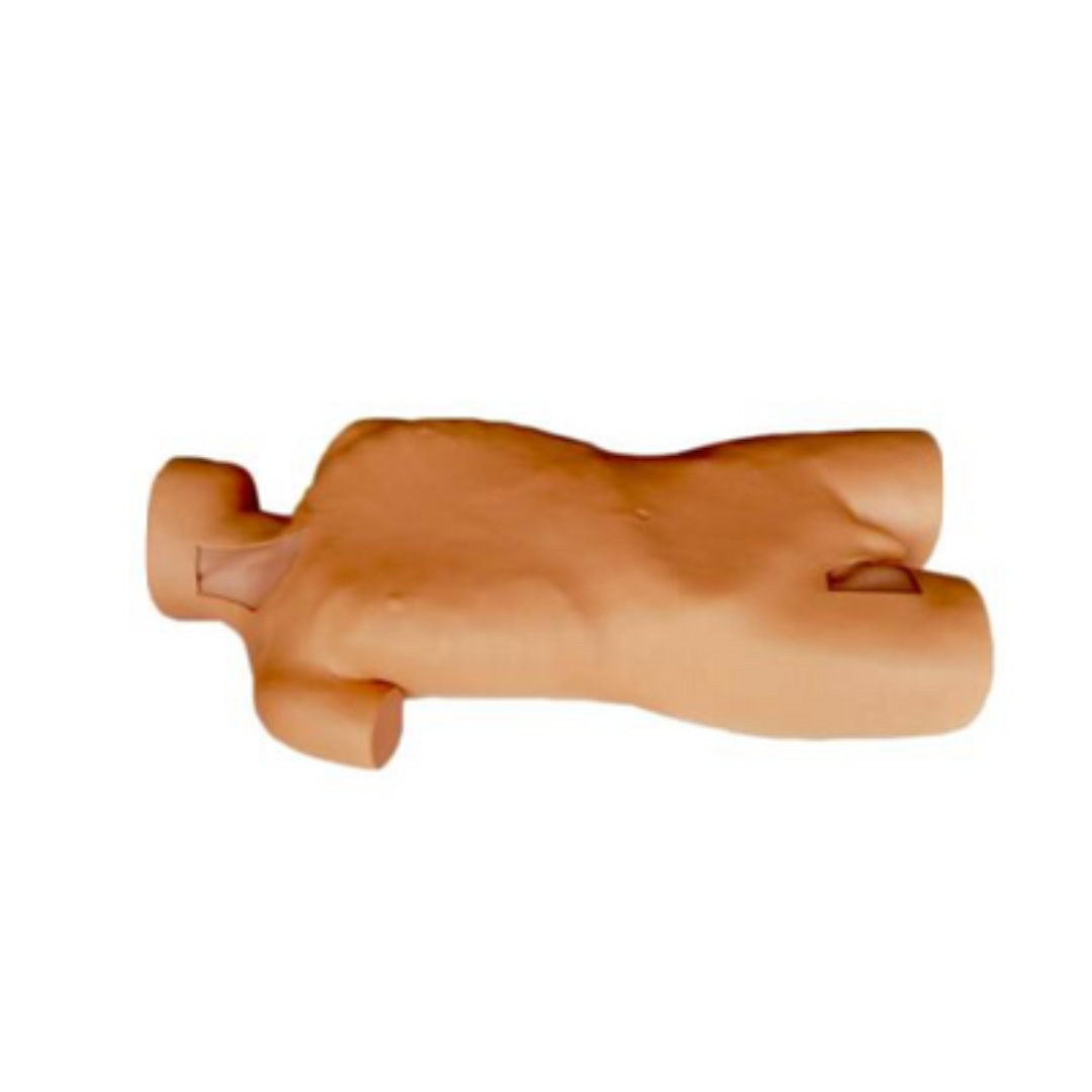 Central Venous Puncture & Catheterization Simulator