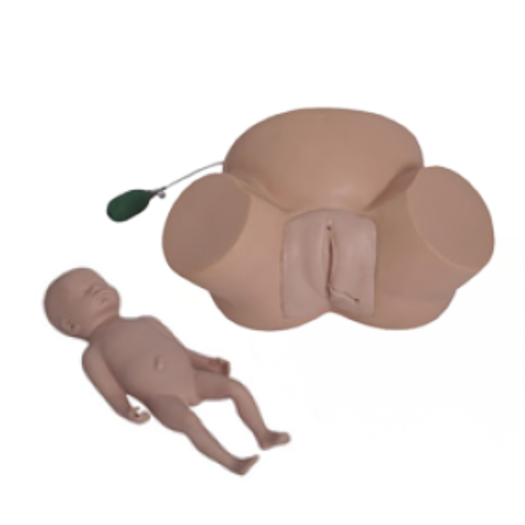 Difficult Labour Model