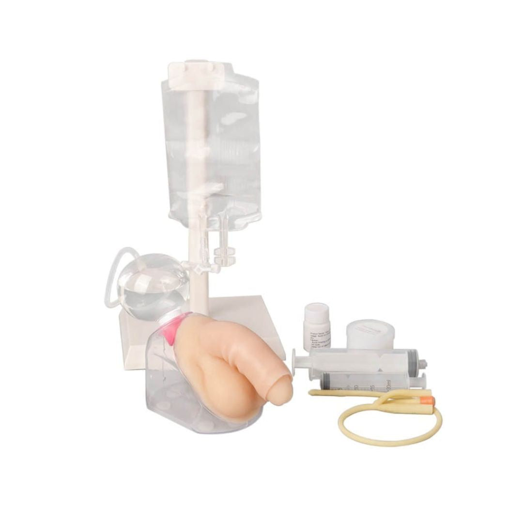 Male Urinary Catheterization Trainer Male