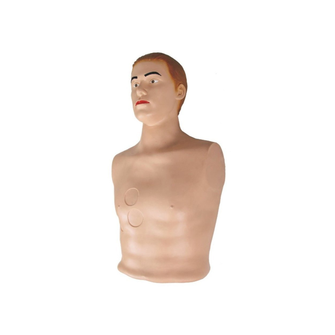 Pericardial Puncture and Intracardiac Injection Simulator