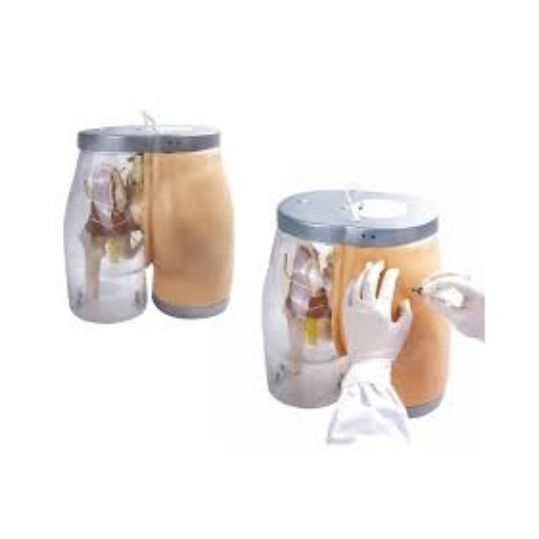 Advanced Buttocks Intramuscular Injection Simulator