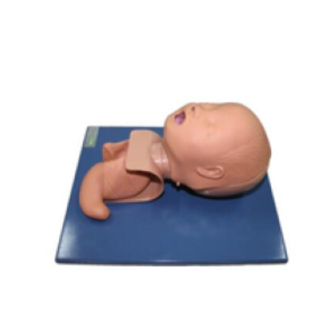 Neonate Intubation Training Model