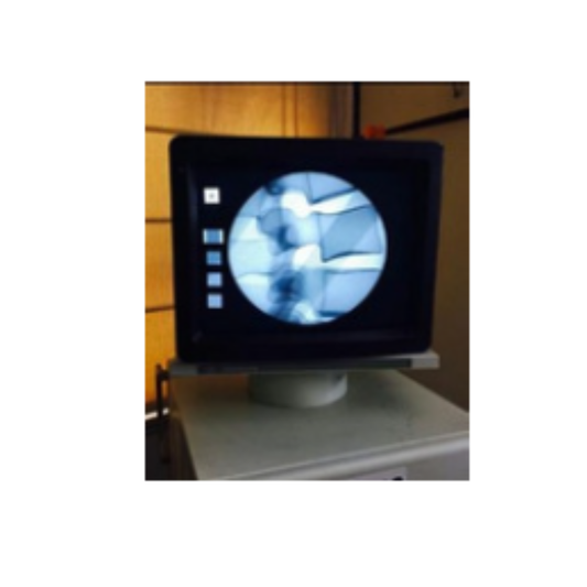 Lumbar Fluoroscopy Manikin