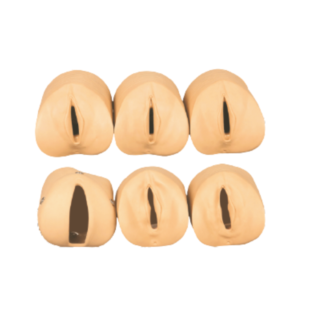 Labour Delivery Model