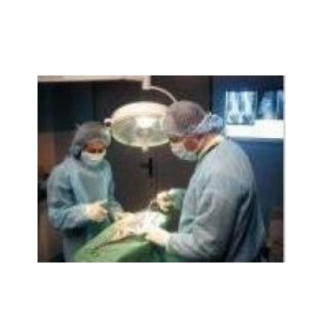 Thoracolumbar Fluoroscopy Manikin