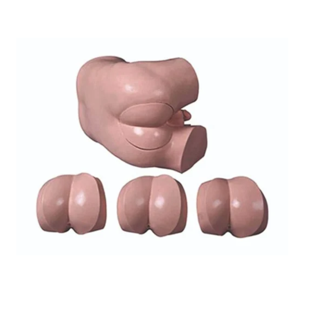 Advanced Rectal Touch Examination Simulator