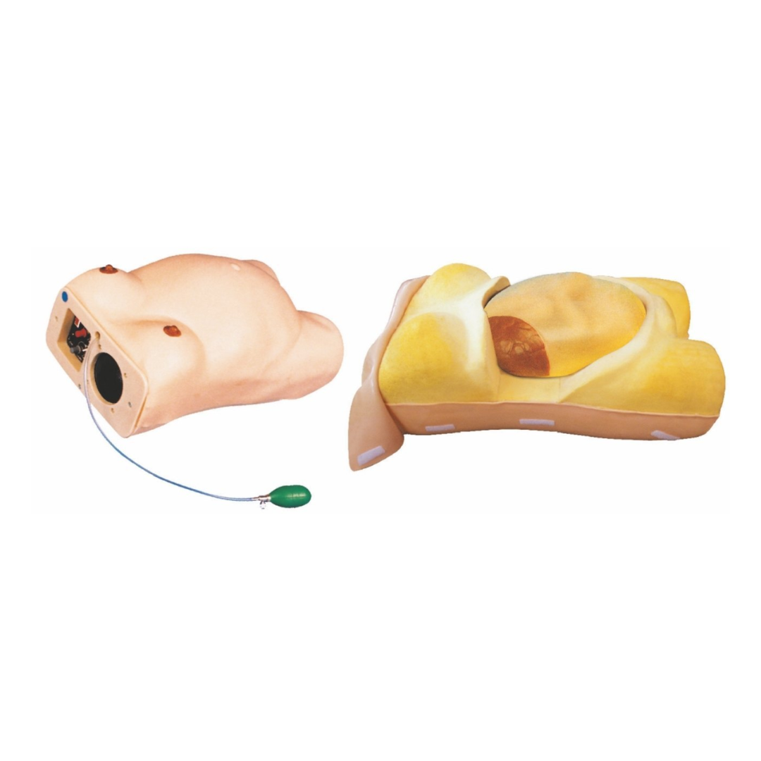 Maternity Examination Simulator