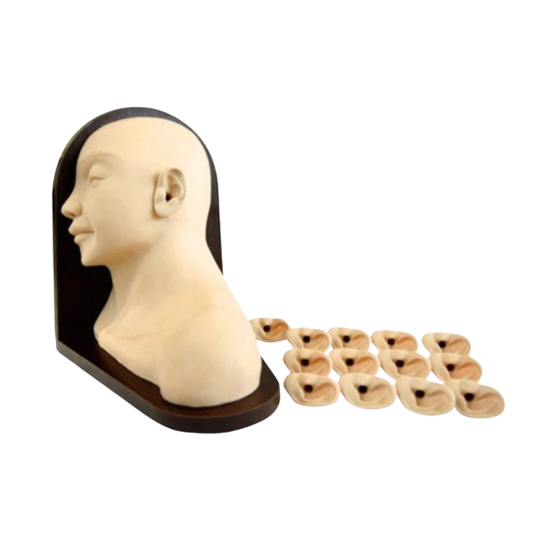 Advanced Ear Inspection Simulator