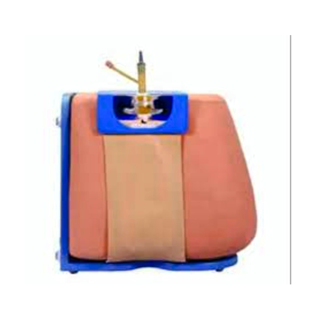 Lumbar Puncture Model