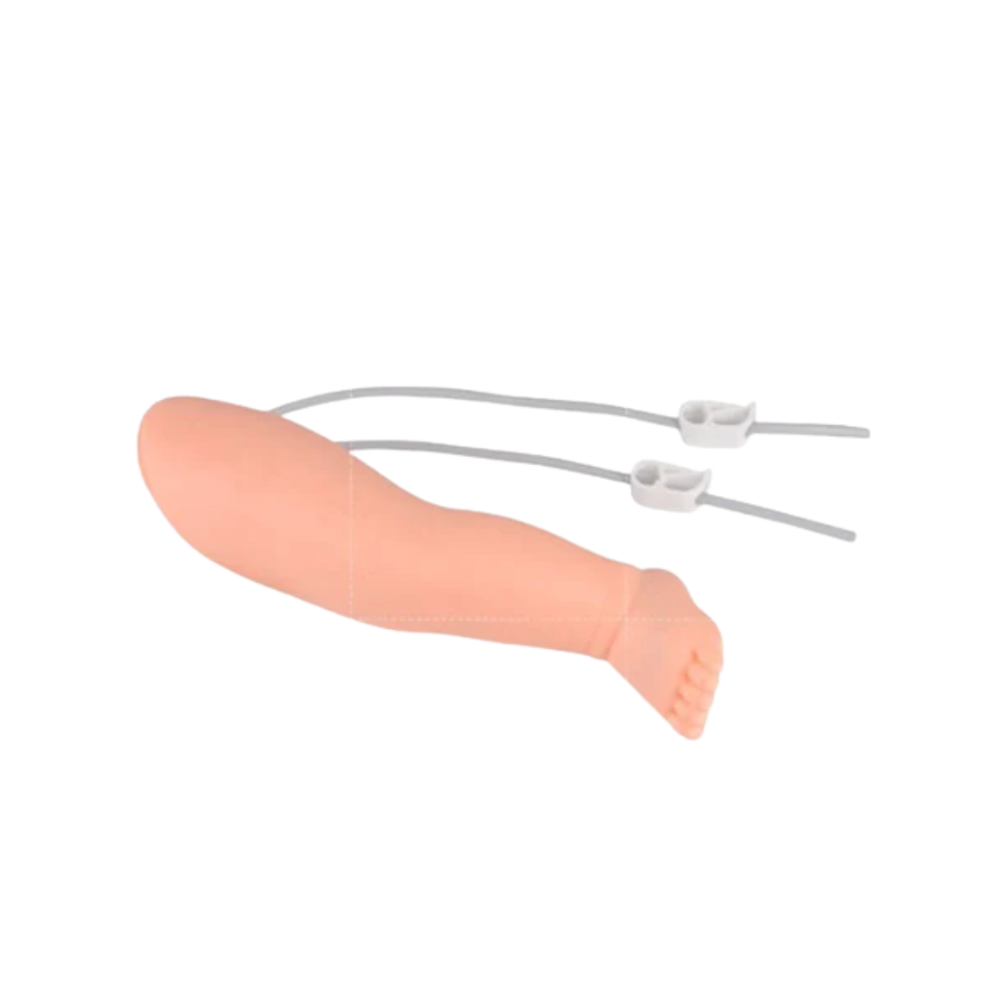 Pediatric IV Leg for Venipuncture & Phlebotomy Training