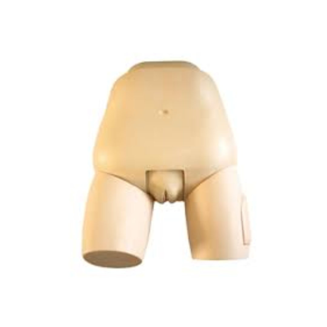 Fundus of Uterus Exam&Evaluation Simulator