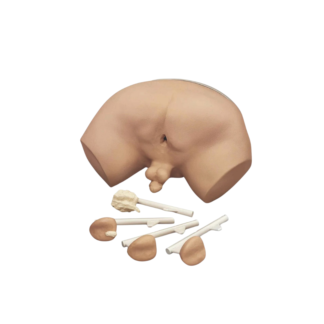 Prostate Examination Simulator