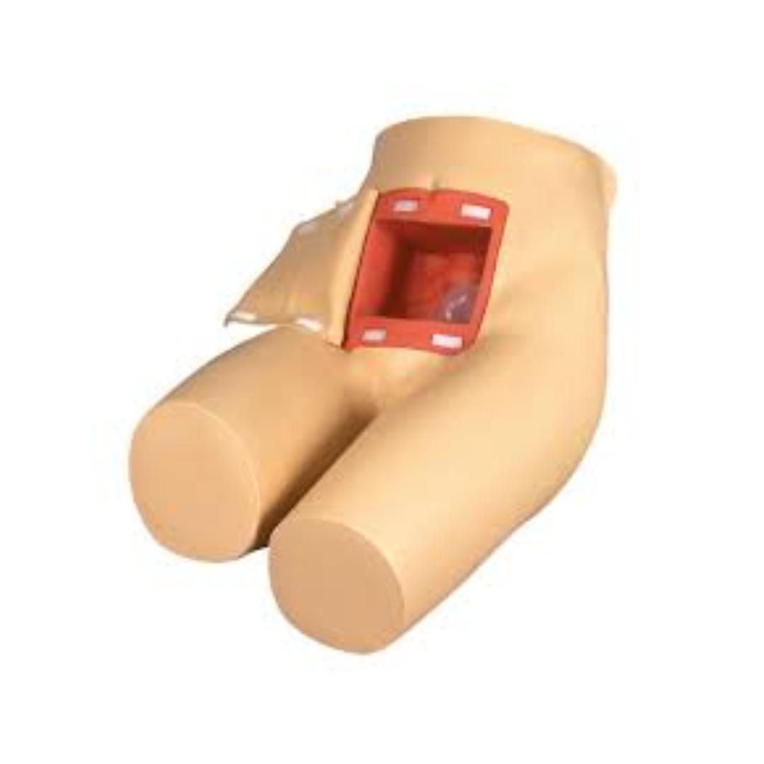 Enema and Assisted Defecation Training Simulator