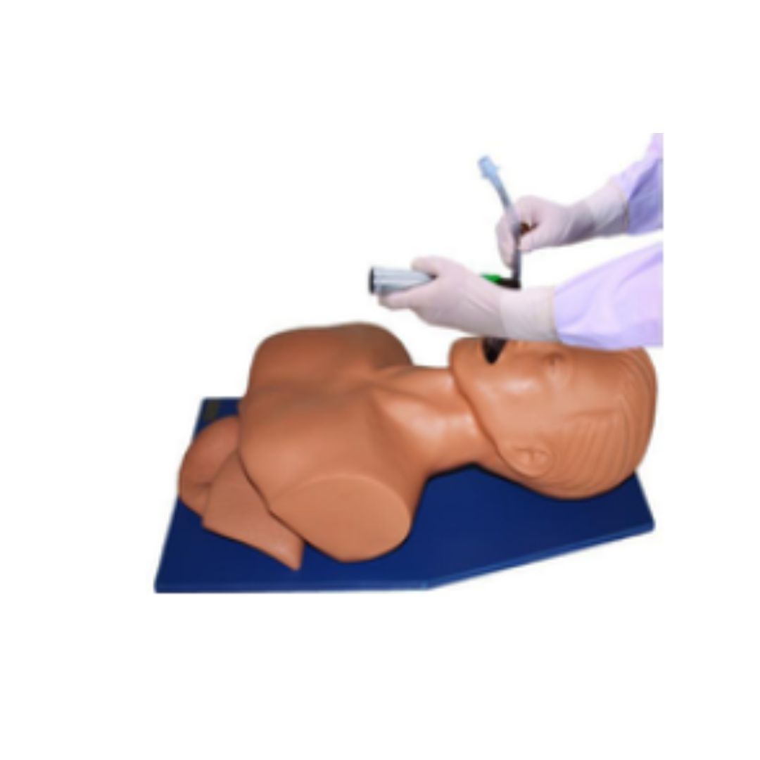 Electronic Trachea Intubation Model Anatomically