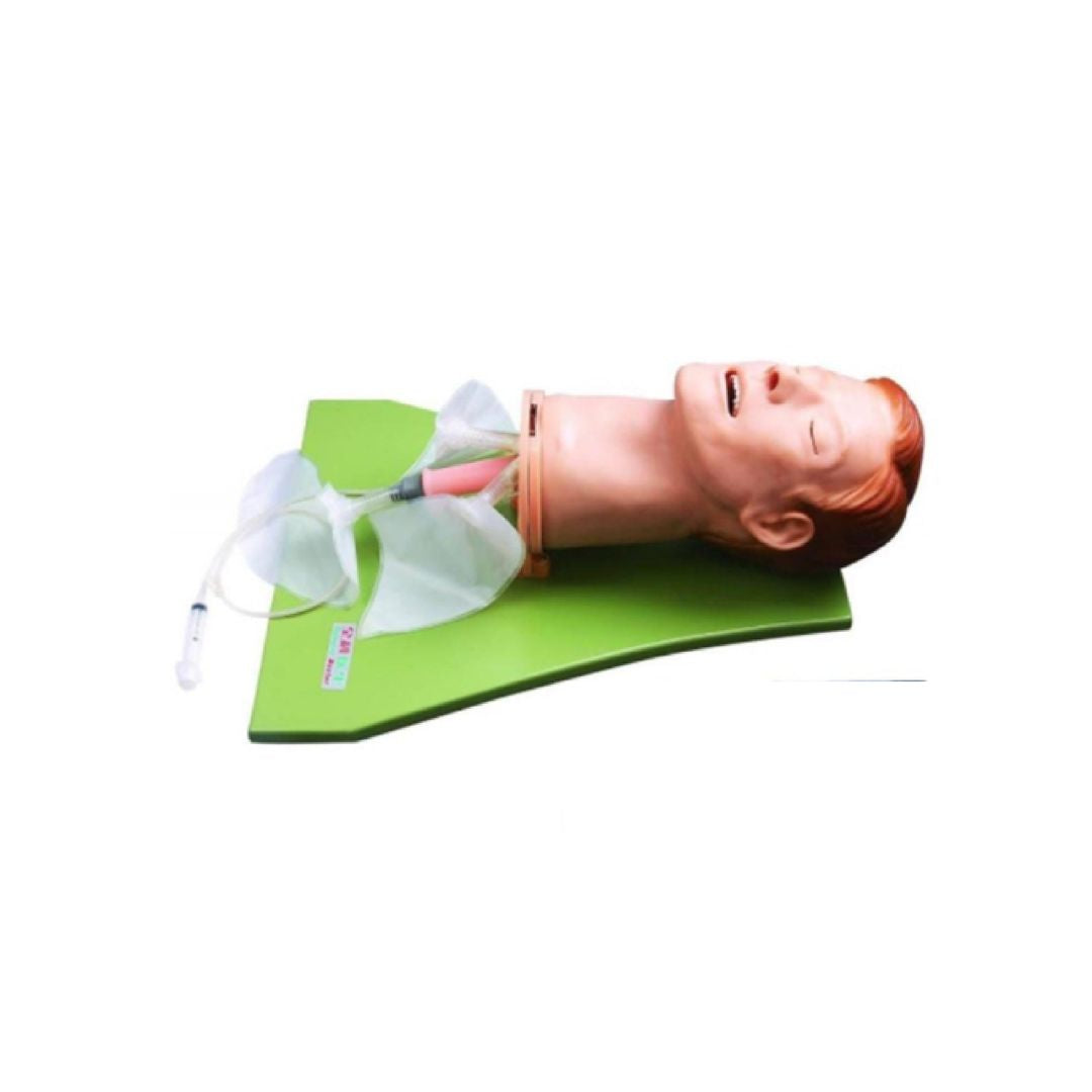 Multifunction Airway Management Model