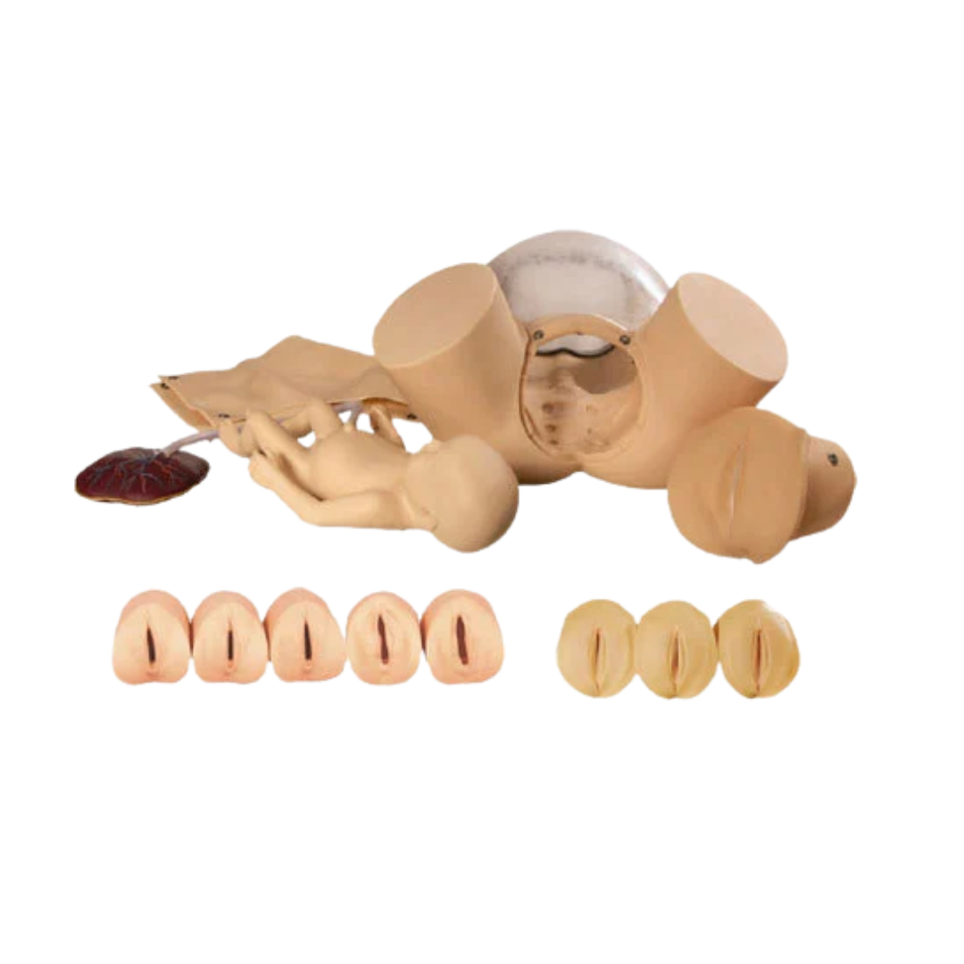 Child Birth Skill Training Simulator