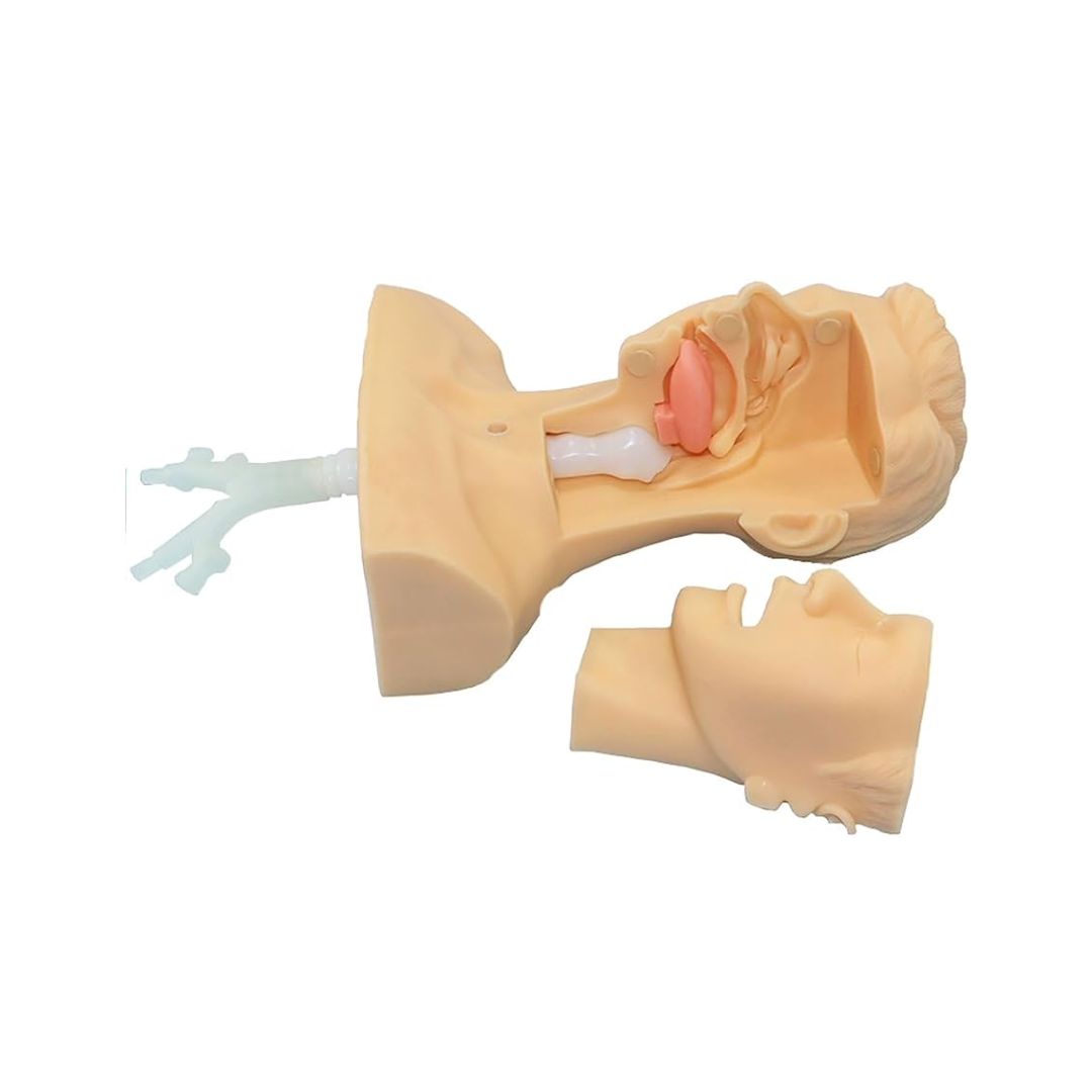 Suction Training Manikin