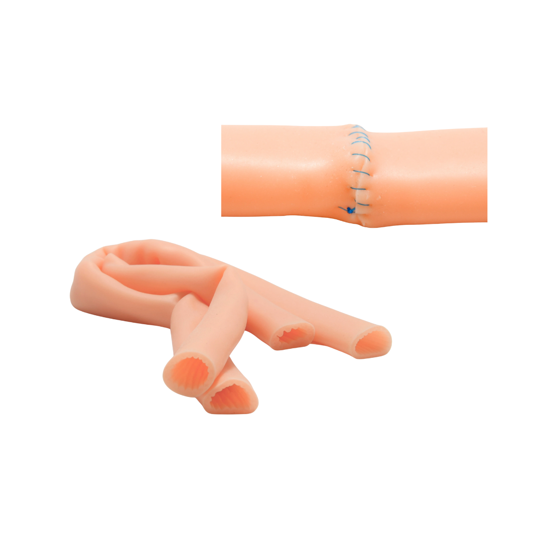 Small Intestine Simulator