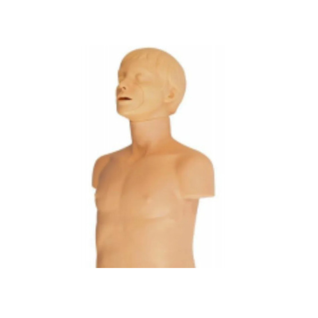 Half Body CPR & Obstruction Training Manikin