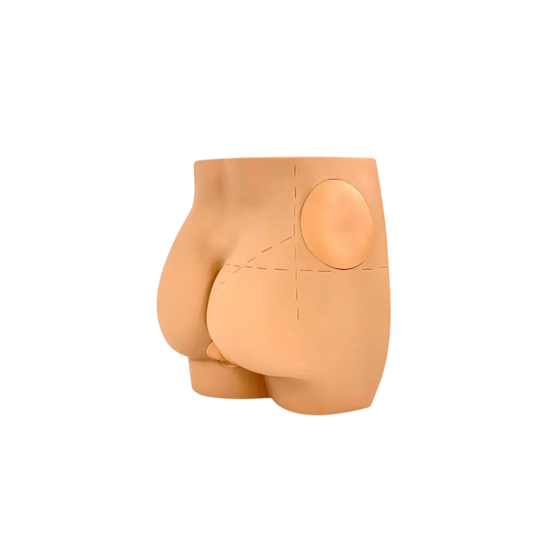 Buttocks Intramuscular Injection Model