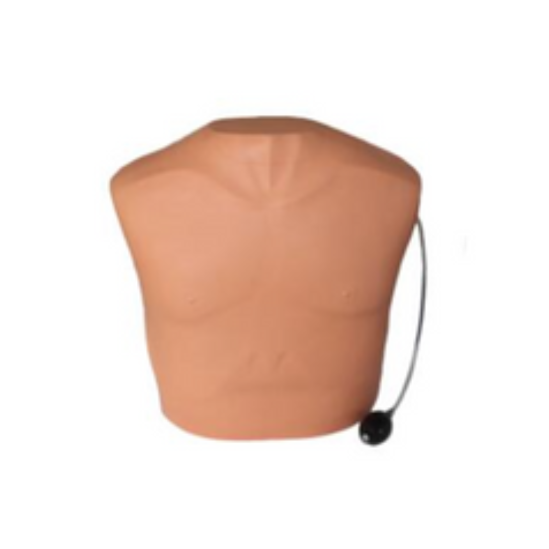 Pneumothorax Training Model