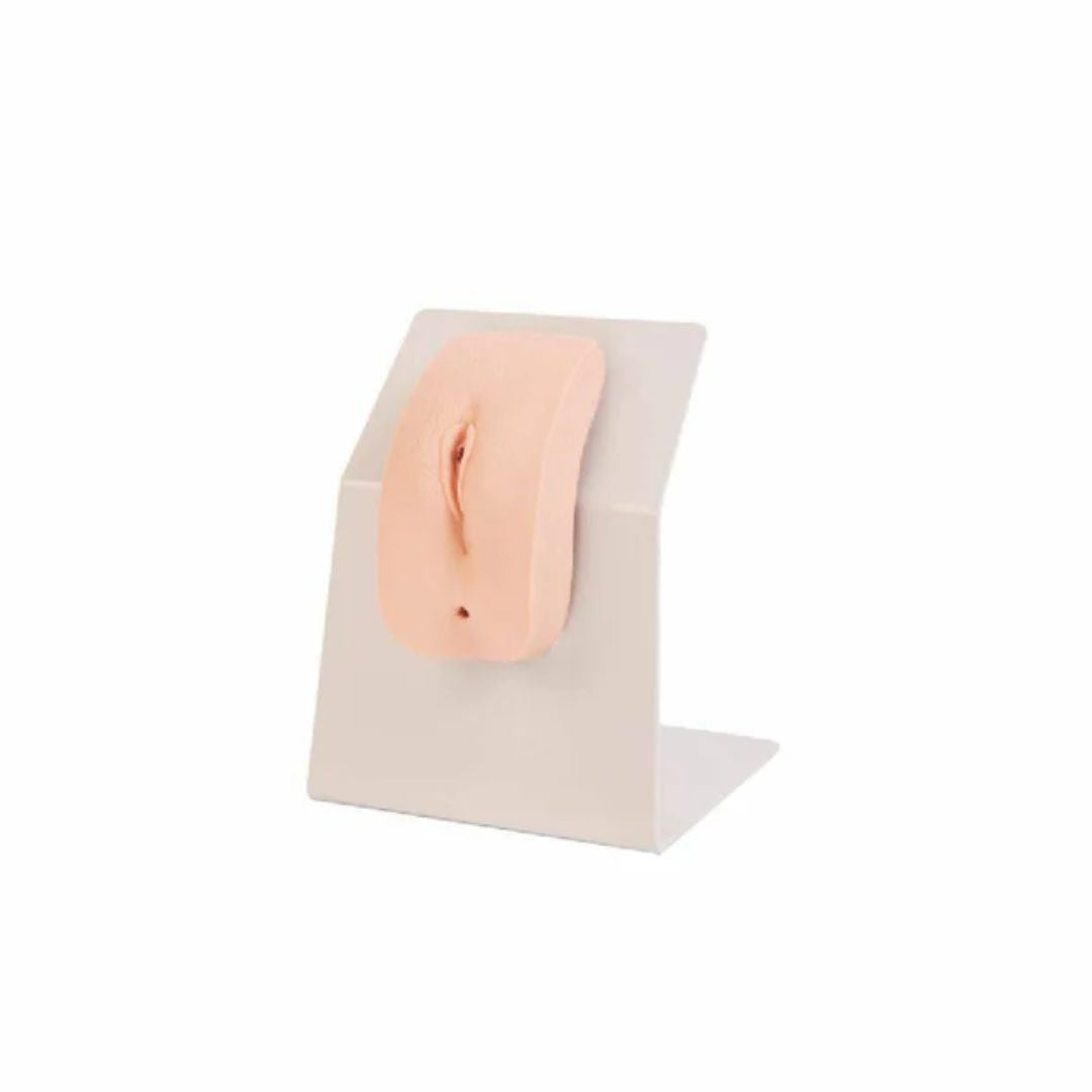 Dressed Female Catheterization Model