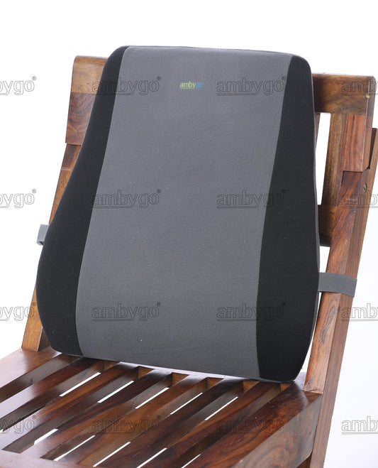 Orthopaedic Back Rest Regular