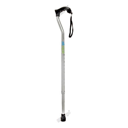 Single Leg Walking Stick