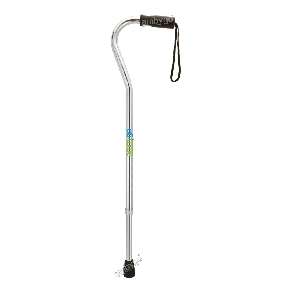 Single Leg Walking Stick