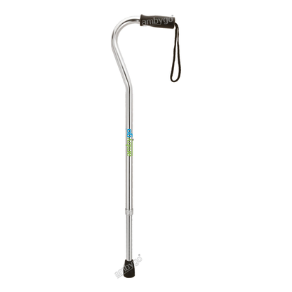 Single Leg Walking Stick