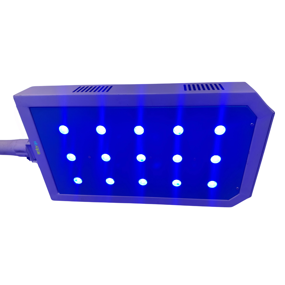 Premium LED Phototheraphy