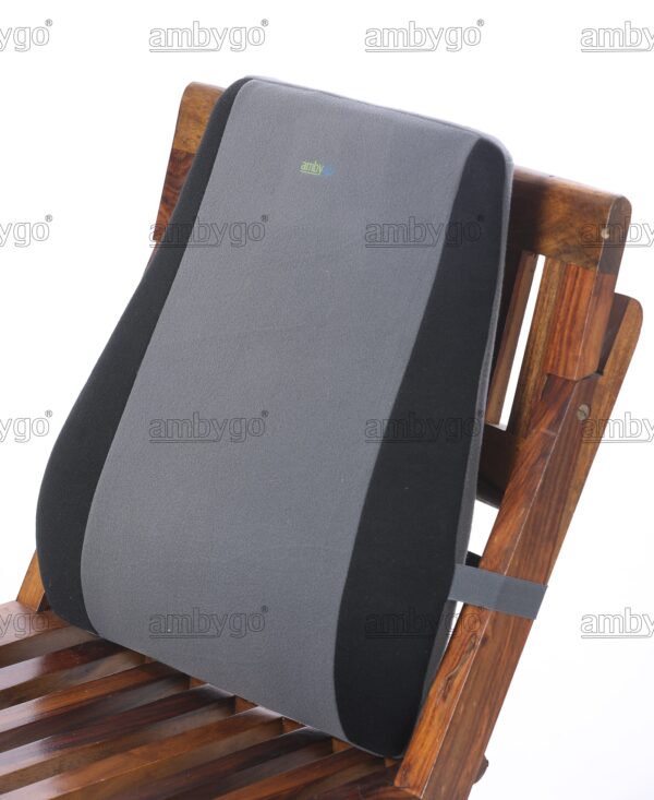 Orthopaedic Back Rest Regular