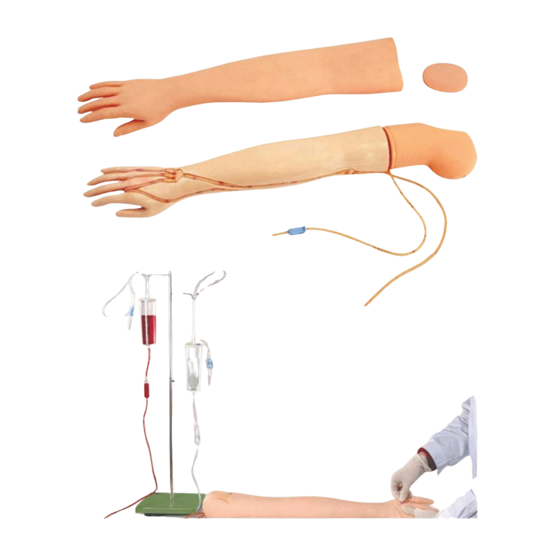 Multifunctional Adult IV Training Arm Model