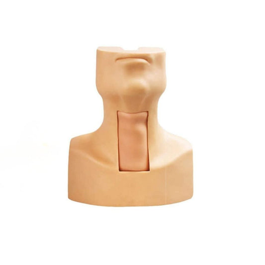 Tracheotomy and Endotracheal Intubation Model
