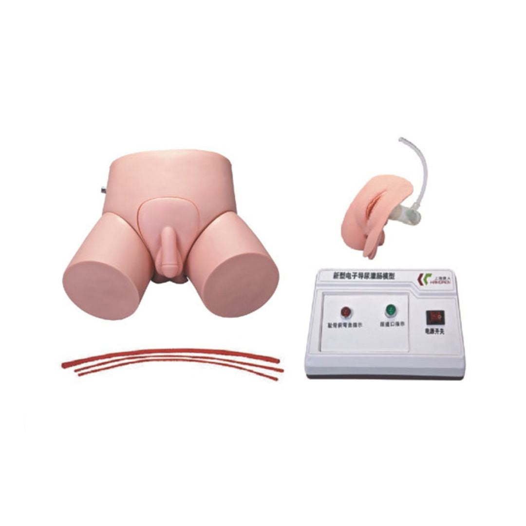 Electronic Unisex Catheterization and Enema Model