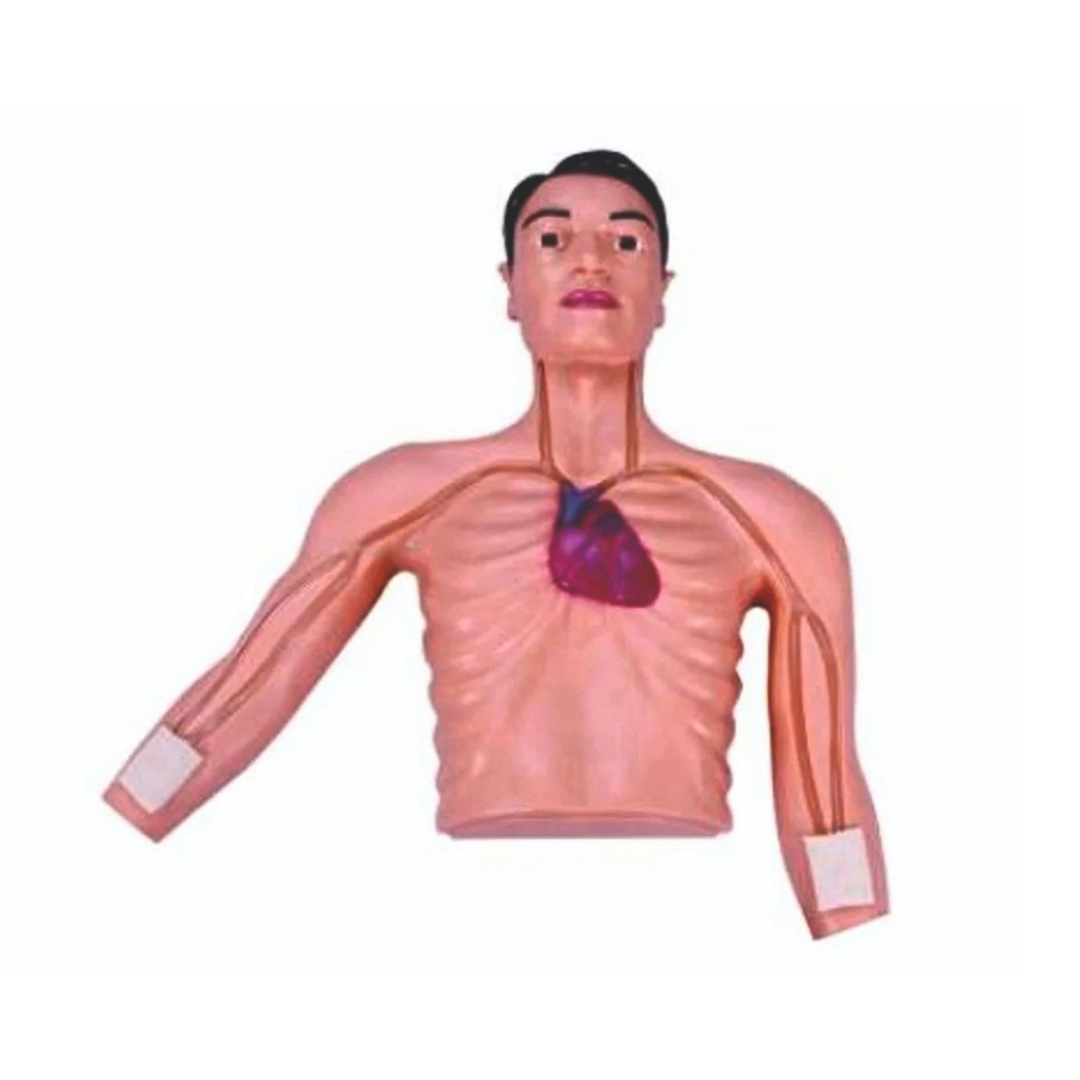 PICC Intervention Simulator