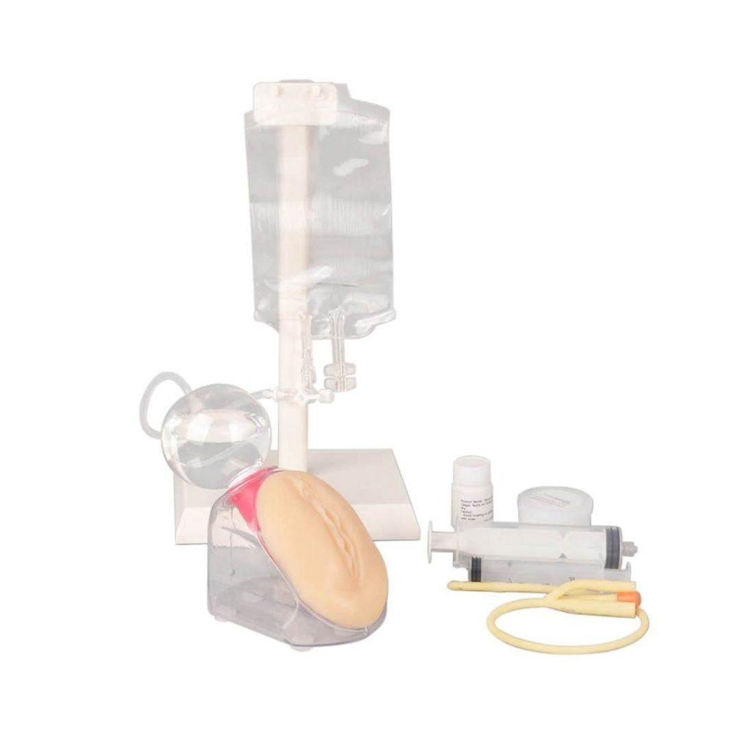 Female Urinary Catheterization Trainer