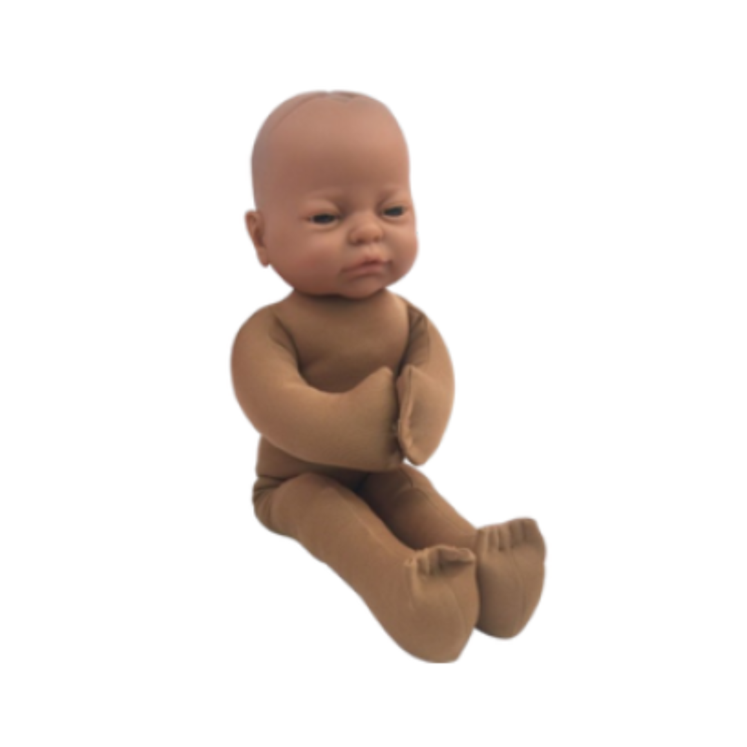 Full Term Fetus Model