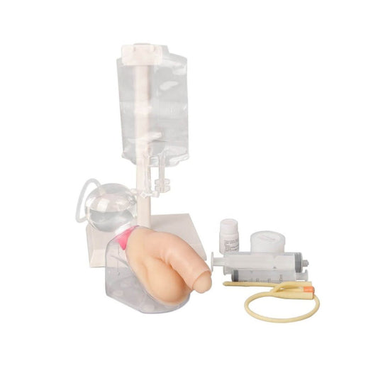 Male Urinary Catheterization Trainer Male