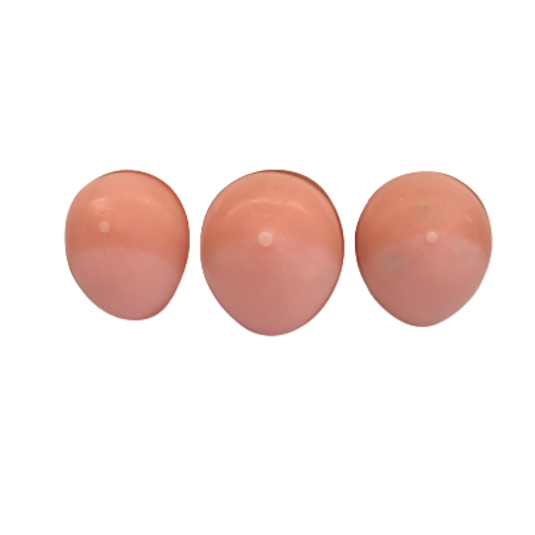 Breast Examination Model