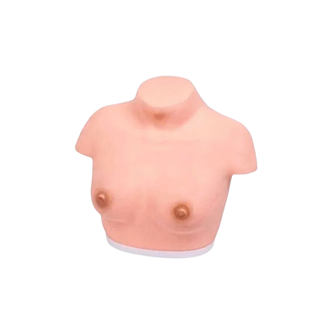 Breast Inspection Model