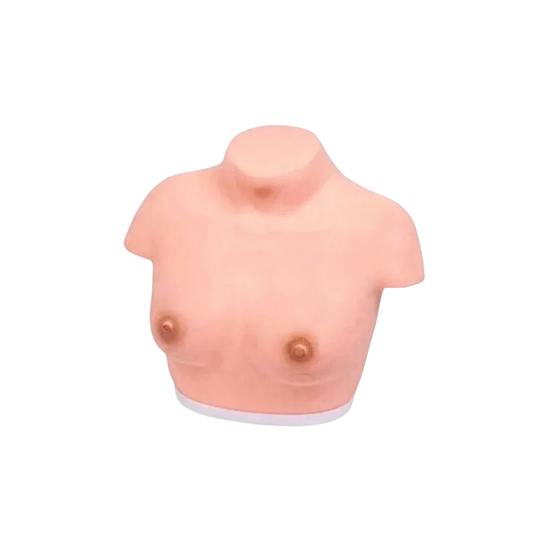 Breast Inspection Model