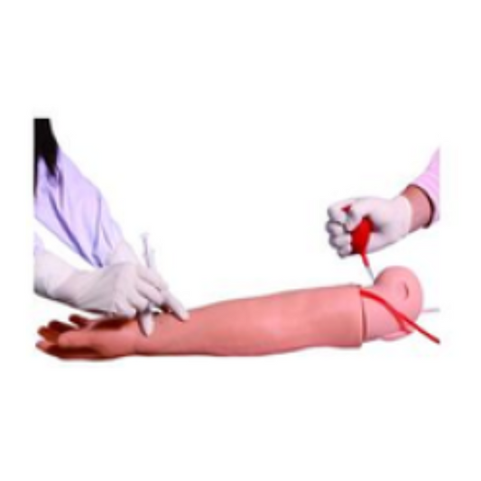 Arm Artery Puncture & Intramuscular Injection Training Model