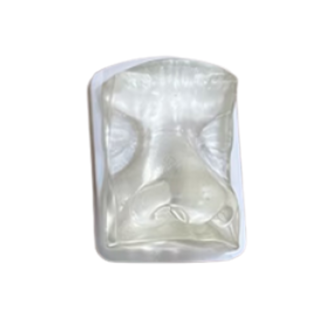 Clear Nose Model for Injection Practice