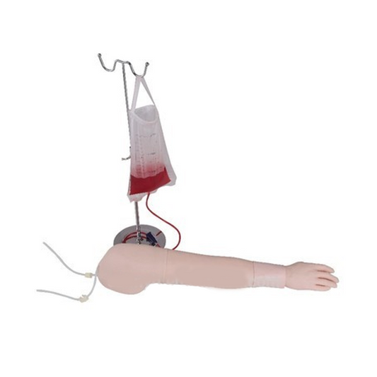 Multifunctional Intravenous Injection Arm Model