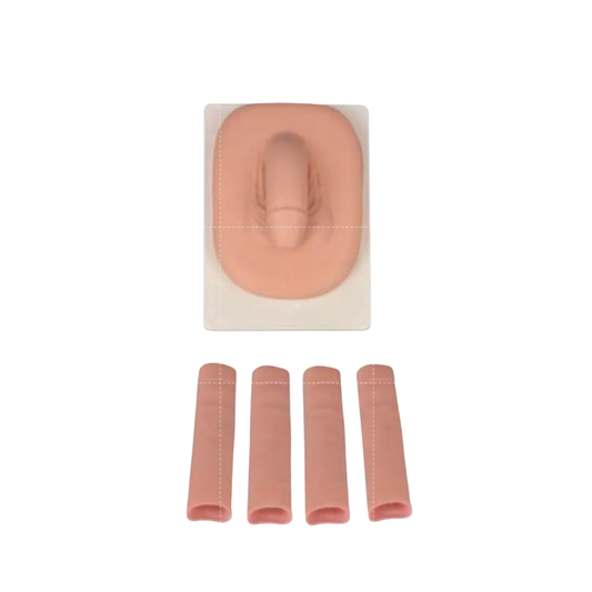 Adult Male Circumcision Trainer