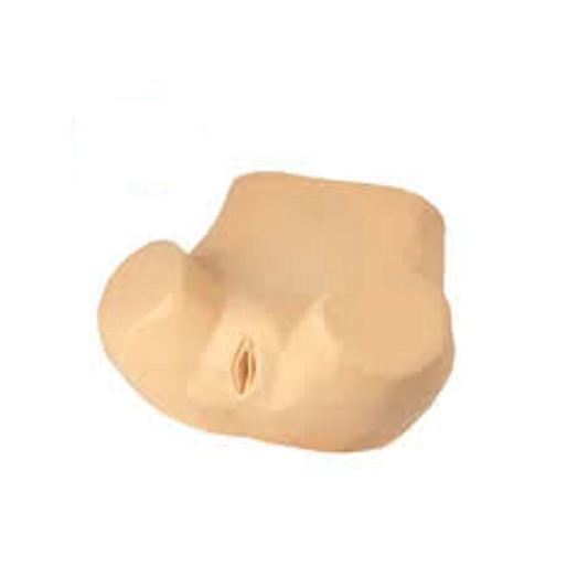 Gynaecological Training Model