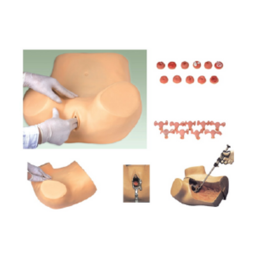Basic Gynecological Examination Simulator