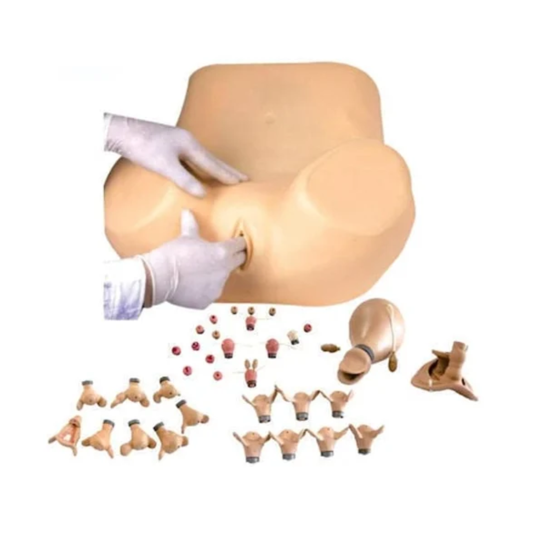 Advanced Gynecological Training Simulator